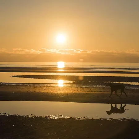 Haus-nordsee-whg-18 *